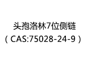頭孢洛林7位側鏈(CAS:75028-24-9)
